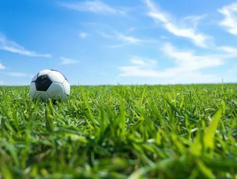 半岛体育VIP网 品牌标识